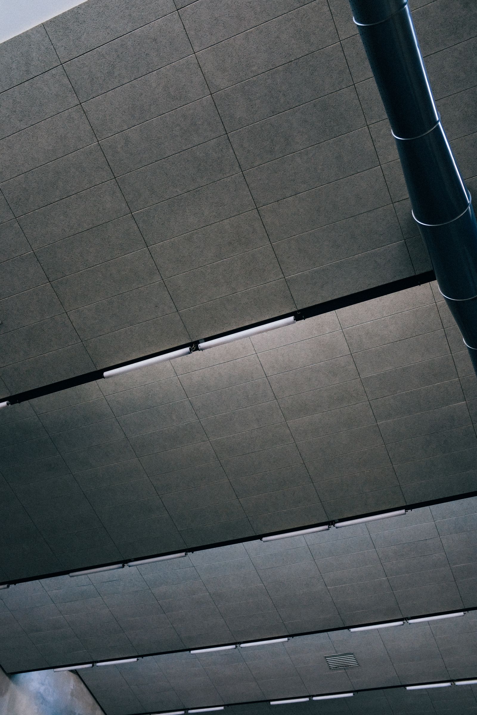 Acoustic ceiling and refurbishment detail, JLG Construction Services in Devon